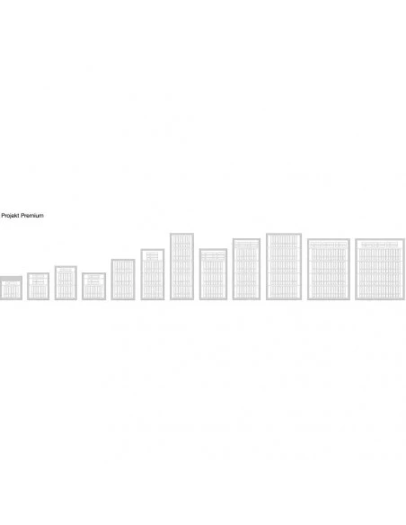 armoire-de-securite_Armoire De Sécurité Rottner Project-11 Premium 2 Portes Serrure À Clé_thumbnail_3